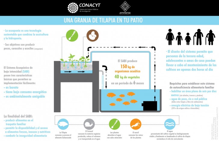The system developed by the Mexican university not only embraces the aquaponics technology but also proposes various improvements, decreasing the number of requirements for the construction of a hydroponics system.