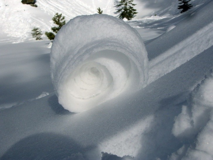 4. Voici un rouleau de pâte feuilletée de neige.