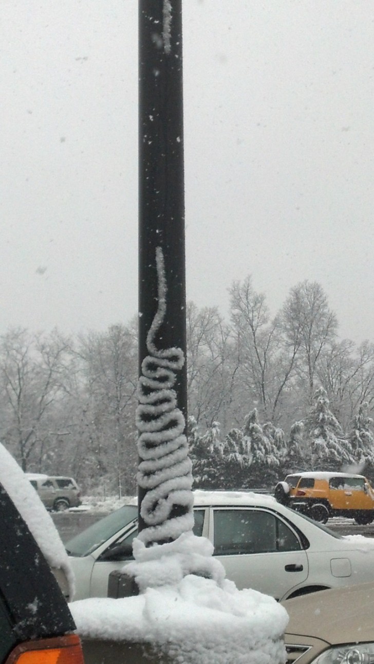 9. E questo serpentello di neve su questo palo? Incredibile.