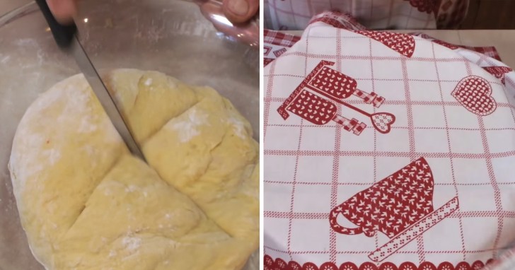 Put the dough back into the bowl, make a cross-shaped cut in the middle of the dough and cover, first with transparent plastic wrap and then with a cloth. Let the dough sit and rest in a warm place for one hour.