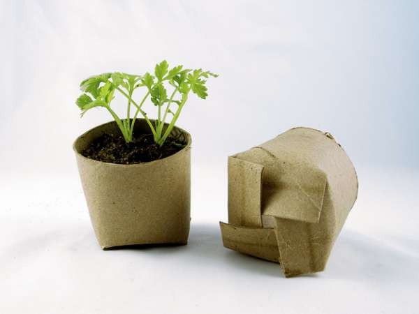 1. Procurez-vous des rouleaux de papier toilette et utilisez-les pour planter les graines ... Quand ce sera le moment, vous pourrez directement les enterrer dans un vase plus grand: ils se dégraderont dans la terre