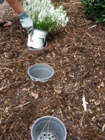 15. Si vous souhaitez changer de place vos plantes dans le jardin, enterrez dans le sol des vases en plastique: ainsi, vous pouvez déplacer les plantes sans devoir les déterrer.