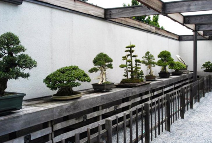 Nel museo si possono osservare da vicino le diverse scuole dell'arte del bonsai.