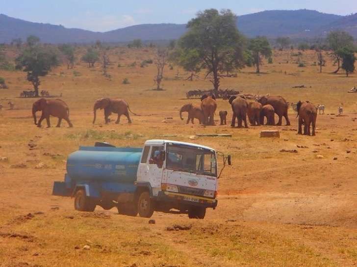 La principale préoccupation de Patrik sont les éléphants qui s'exposent au risque du braconnage en allant de plus en plus loin pour trouver de l'eau