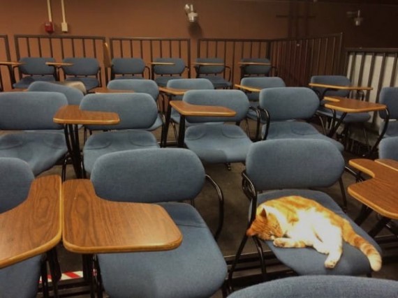 Bubba profiteert niet alleen van de comfortabele stoelen die in de klaslokalen staan...