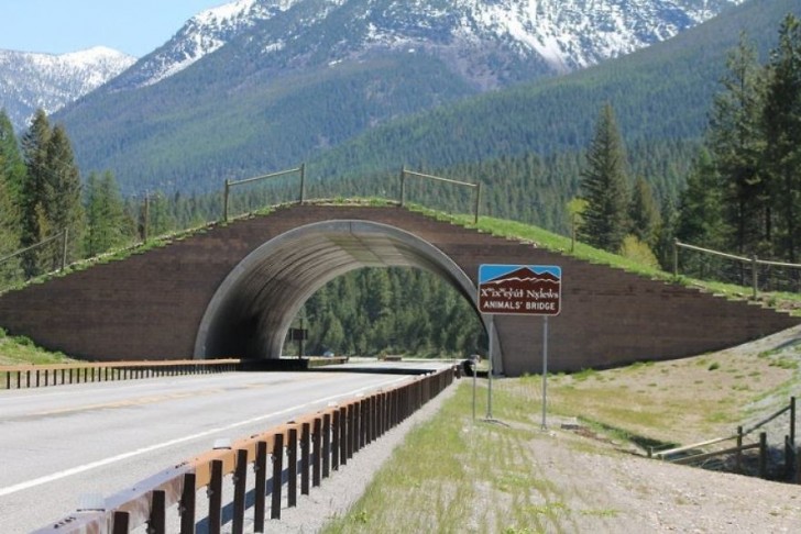 12. Pont surélevé dans le Montana, Etats-Unis.