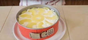 9. Utilisez les tranches d'ananas restantes pour décorer le dessus du gâteau, puis mettez dans le congélateur pendant au moins 2 heures.