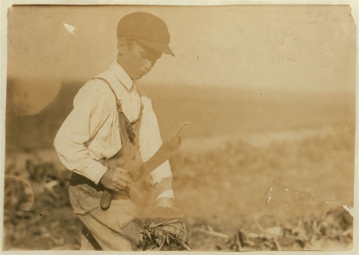 Un enfant qui surveille sa récolte.