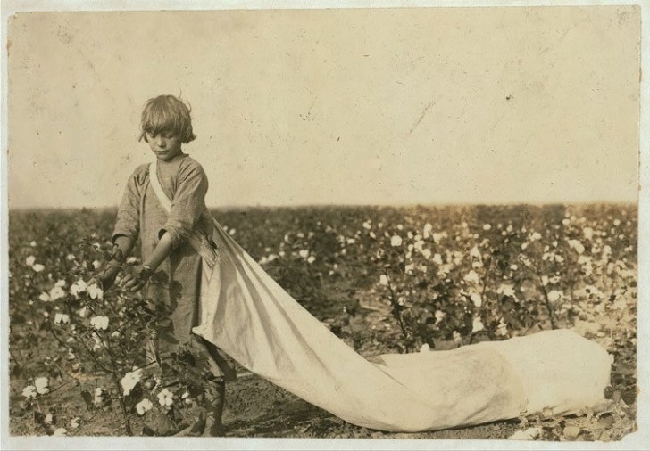 Norma Lawrence, 10 ans, rassemble entre 100 et 150 livres de coton par jour dans le comté de Comanche, Oklahoma, en 1916