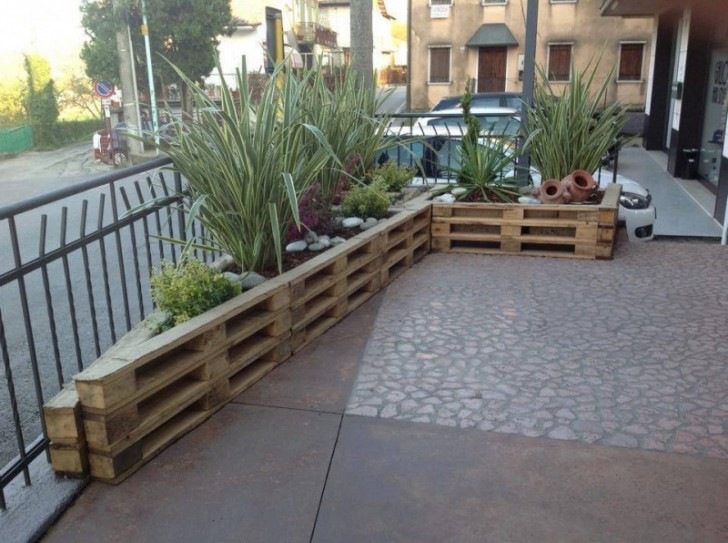 7. Green plants and wooden pallets get along well together!