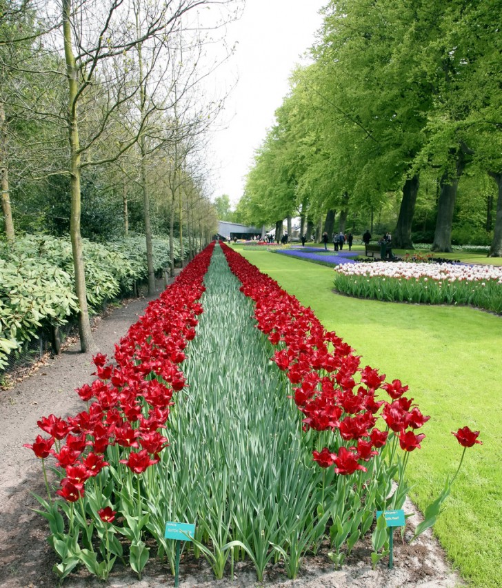 Il parco ospita al suo interno diverse "aree tematiche": c'è ad esempio il Giardino dell'Amore, perfetto per trascorrere del tempo in dolce compagnia.