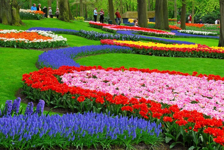 Questo giardino, più di tante altre attrattive olandesi, merita di essere visitato.