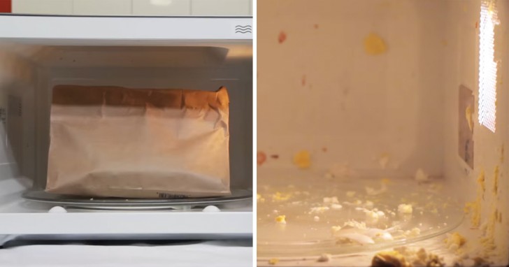 12 things that you should never put it in a microwave oven.
