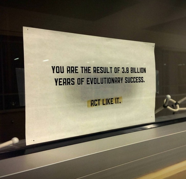 5. « Tu es le résultat de 3,8 milliards d'années d'évolution réussie. Comporte-toi comme tel »
