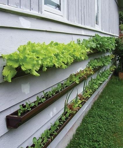10. An alternative use of drainage ducts. Perfect for cultivating lettuce plants!