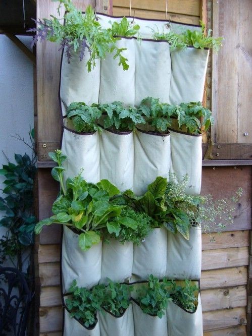 9. A vertical garden using fabric pockets is very neat and orderly!