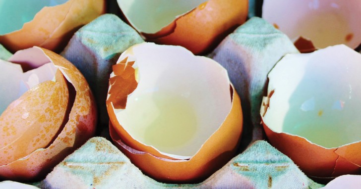 Ecco 12 buoni motivi per usare i gusci di uova nel vostro giardino.