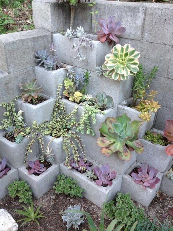 11. Or simply use the cement blocks as plant vases ... positioned in a pyramid shape!