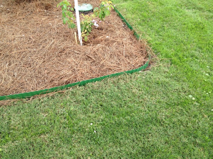 Recouvrez de paillis la surface du sol sous les plantes, afin que les mauvaises herbes ne reçoivent pas de soleil et ne plus les voir pendant un certain temps !