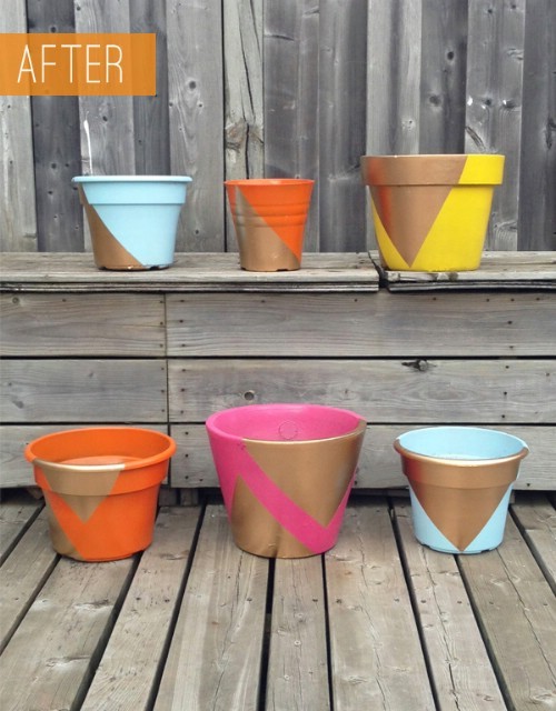 5. Terracotta pots can also be special.