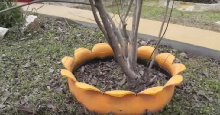 Wie man einen alten Reifen in einen schönen Blumentopf verwandelt - 6