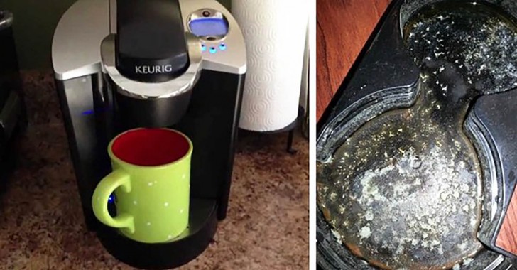 Selon certains tests bactériologiques, les parties des machines à café sont une niche à micro-organismes, y compris le E. coli.