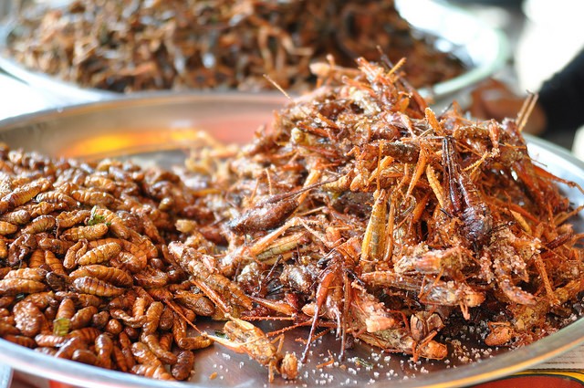Sostituire gli insetti alla carne apporterebbe due importanti benefici all'ambiente.