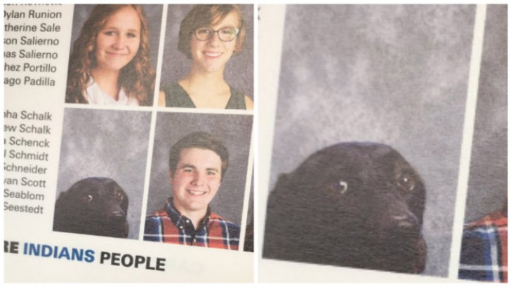 La foto del cane sull'annuario è stata postata su internet da una studentessa: ha fatto il giro del mondo in pochissimi minuti.