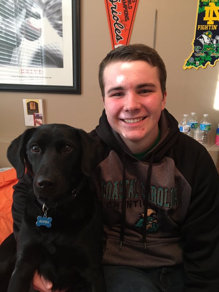 Le chien s'appelle alpha et aide le jeune Andrew Schalk, 16 ans, à gérer son diabète de type 1.