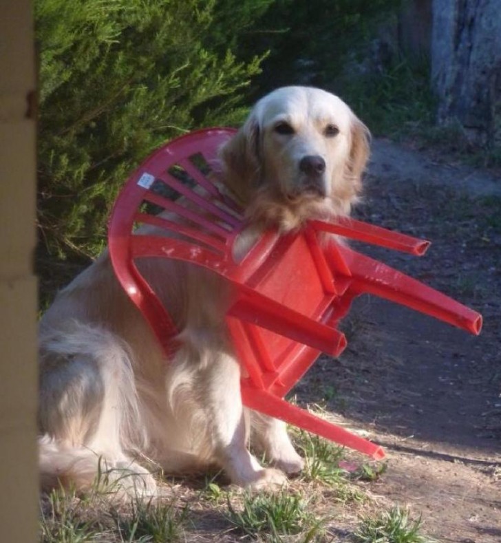 1."Ja, er is iets met die stoel wat er niet klopte, ik ging gewoon zitten."