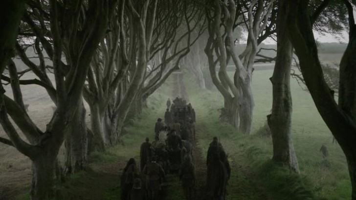Grâce à son charme gothique particulier, Dark Hedges a été l'un des endroits sélectionnés pour le tournage de la célèbre série télévisée Game of Thrones: c'était la scène où Arya Stark voyageait dans le Nord après avoir échappé au Lido du roi *.
