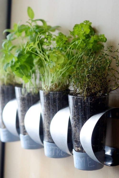1. Create a support for aromatic herbs from a grid (wine rack) for wine bottles.