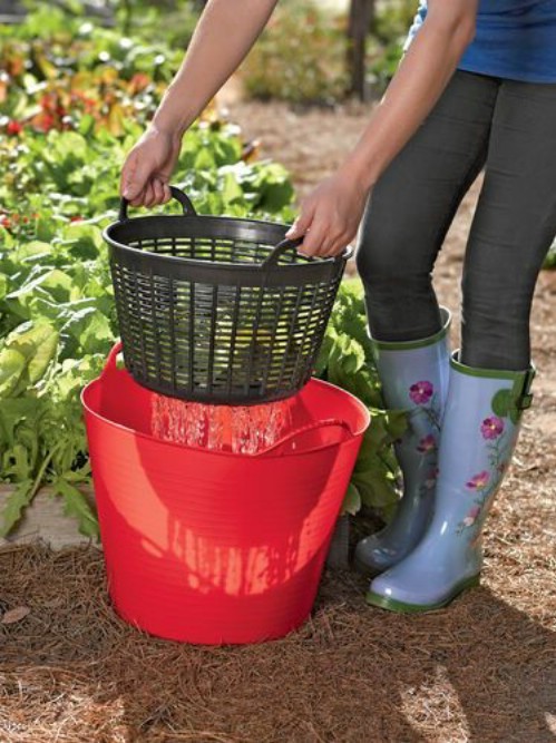 7. Collect the water you use to rinse the vegetables in your garden in a bucket --- you can use it again for irrigation!