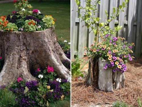 Es ist immer schwer zu ertragen, wenn ein Baum gefällt werden muss. Pflanzt Blumen hinein um ihn aufzuwerten.