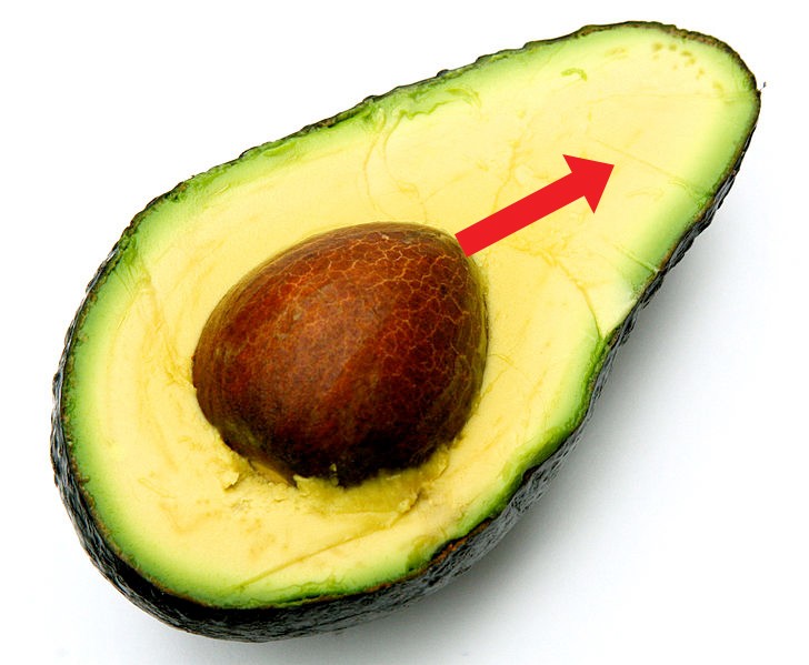 Attention! The seed has a " high" and a "low" end that is recognizable by its location inside the fruit.