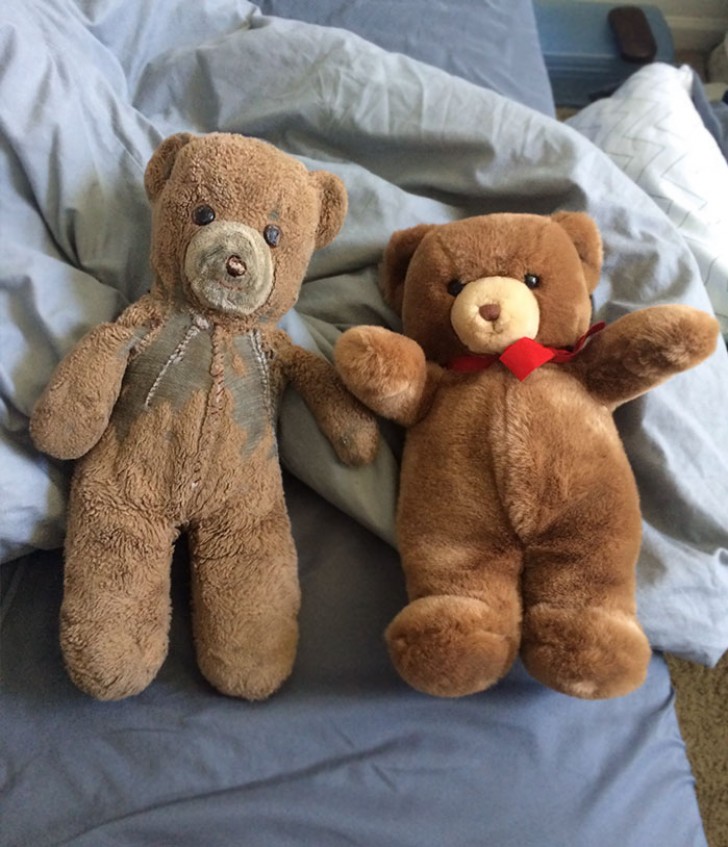 1. Les deux ours en peluche avaient été achetés en 1985 avec la différence que celui de droite est resté empaqueté dans un placard.