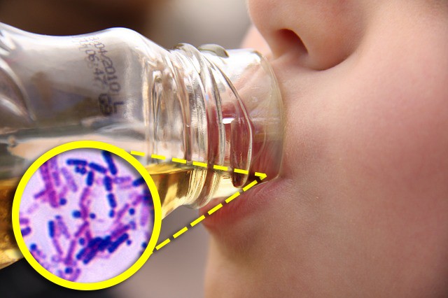 Wenn Wasserflaschen falsch benutzt werden, sind sie der ideale Ort für die Vermehrung von Bakterien.