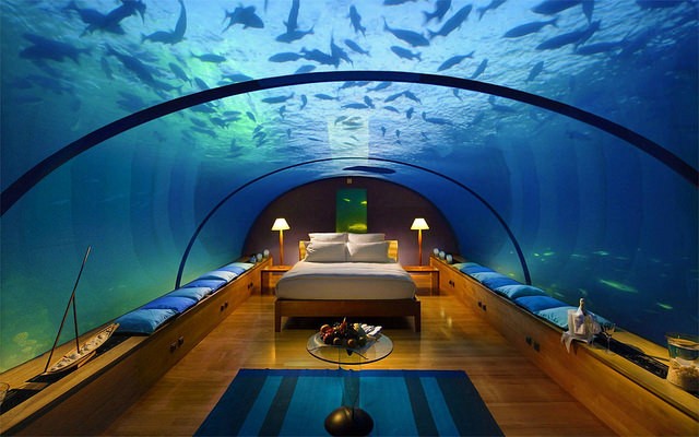 13. In Dubai kann man in einem untewasser- Zimmer schlafen, das von Fischen jeder Art umschwärmt wird.