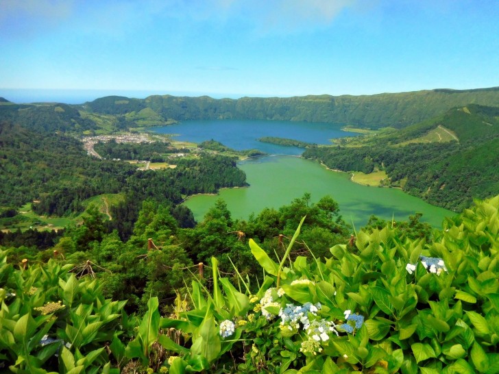 21. La végétation des îles des Açores (Portugal).
