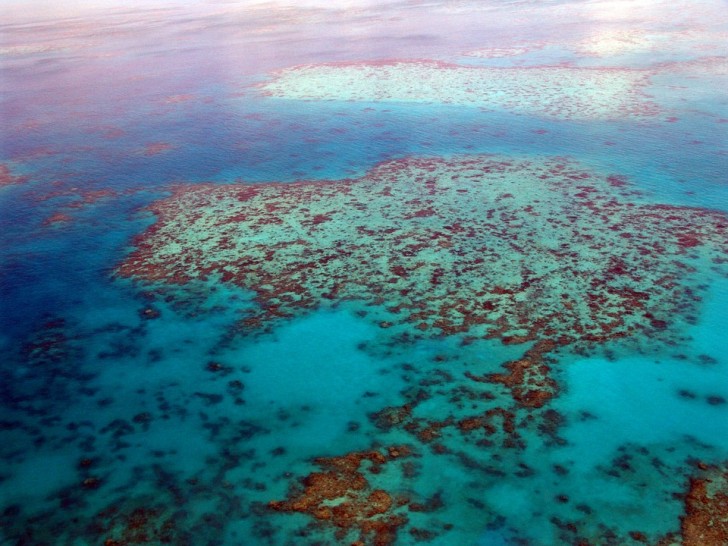 31. Het Great Barrier Reef... voordat het helemaal weg is.