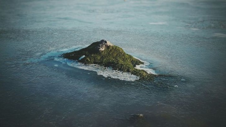 7. L'île tropicale de la photo est située dans un jardin car c'est une pierre recouverte de mousse.