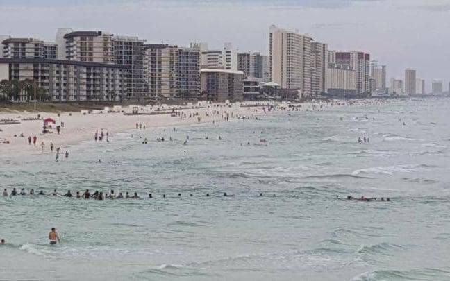 As many as 70 people joined forces to form a human chain to reach the point in the sea off the beach where the Ursrey family was drowning.