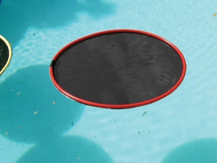 5. In the evening, after a day of swimming in your pool, place the hula hoop circles in the water ...