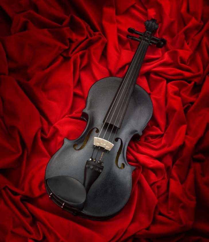 Voici " Blackbird ", le violon en pierre.