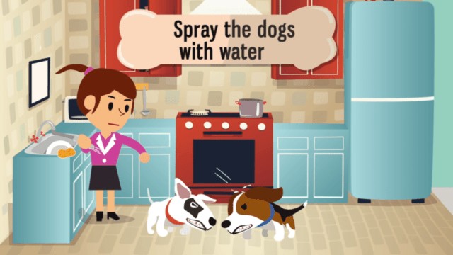 4. Asperger les chiens avec de l'eau