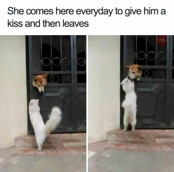 Chaque jour, elle arrive, elle lui donne un baiser et s'en va...