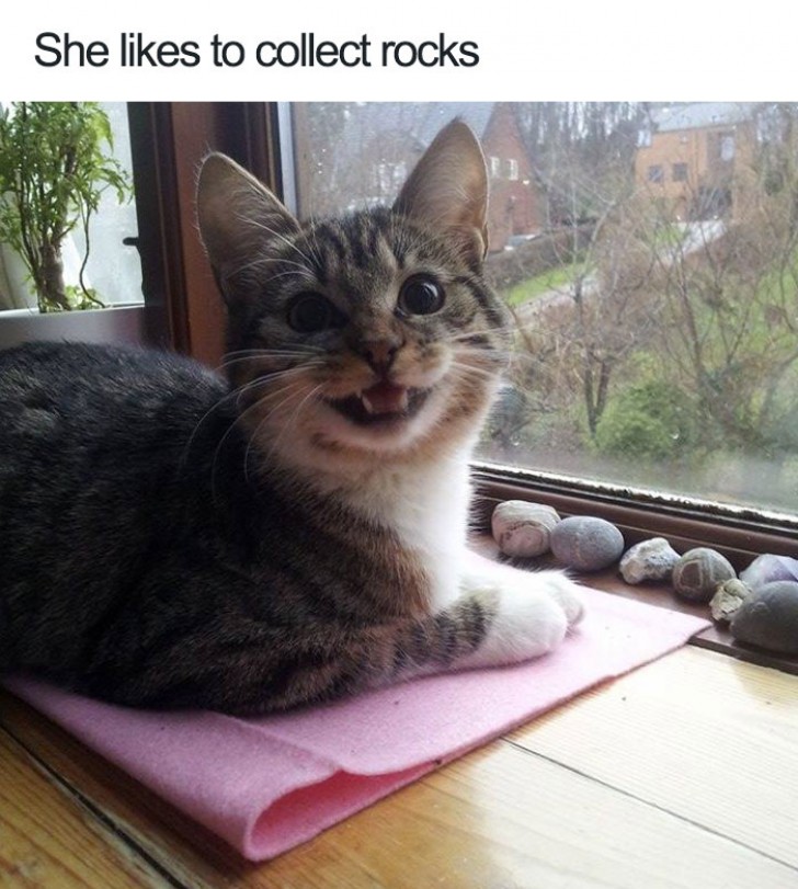 Elle aime collectionner les pierres! xD