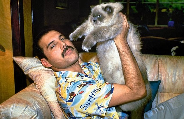 3. In het solo-album van Freddie Mercury dat uitkwam in 1985 staat deze ode:" Voor mijn kat Jerry, ook Tom, Oscar, Tiffany en iedere kattenliefhebber ter wereld."