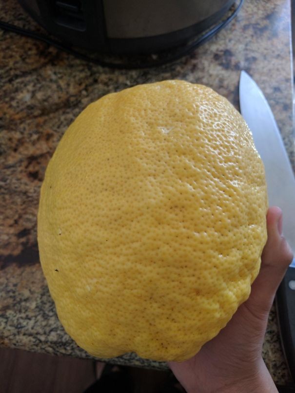 9. Citron géant !
