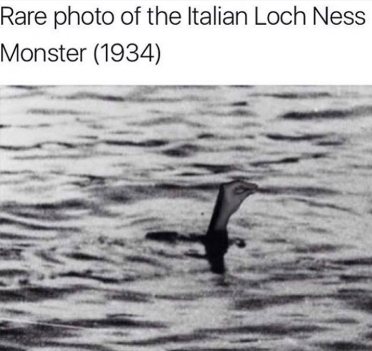 13. Zeldzame foto van het Italiaanse Loch Ness monster.
